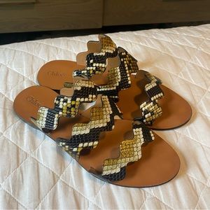 50% OFF: Chloe Lauren Sandal